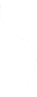 Vector