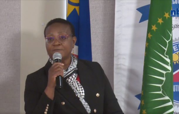 Effective board governance crucial for addressing strategic issues – Hamunyela