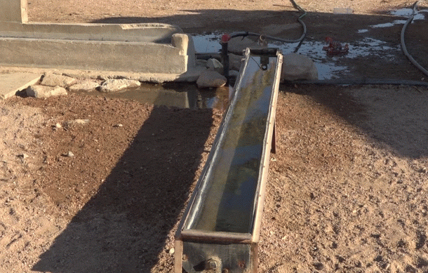 GIZ brings relief to Morewag Village