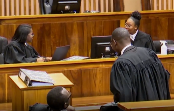 Refusal to grant SA lawyers work visas not politically driven