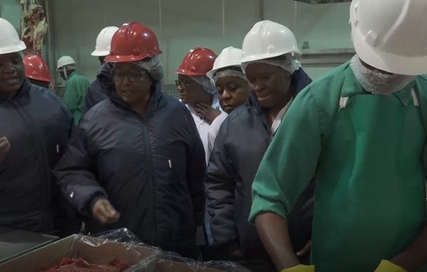 Lack of support for livestock farmers concerning