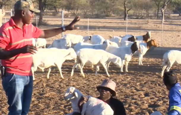 Otjozondjupa battles with lumpy skin disease outbreak