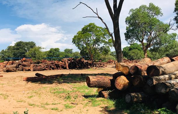 No harvesting permits renewals for farms in breach of harvesting quotas