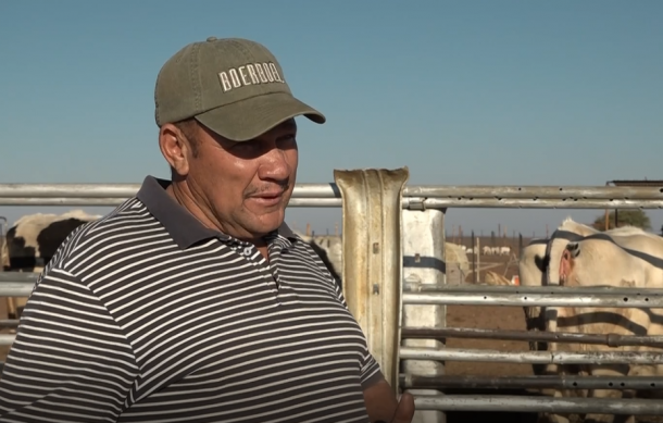 Resettled farmers use land optimally