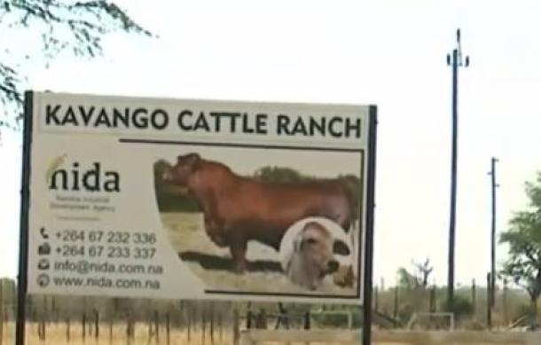 Kavango Cattle Ranch Manager warns of dire consequences should strike continue