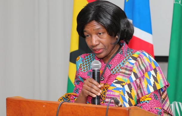 Namibia, Ghana elevate cooperation with bi-national commission