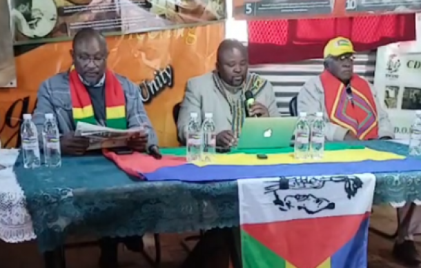 Swanu ready for elections despite internal conflicts