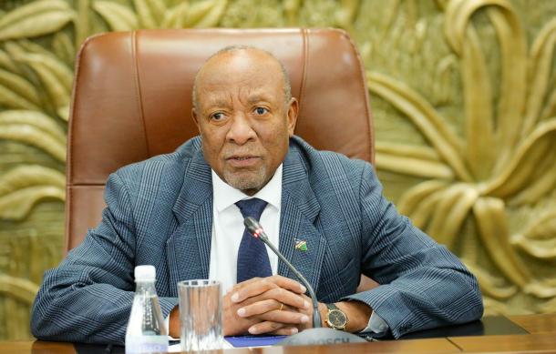More action needed for justice over Germany’s genocide – Mbumba
