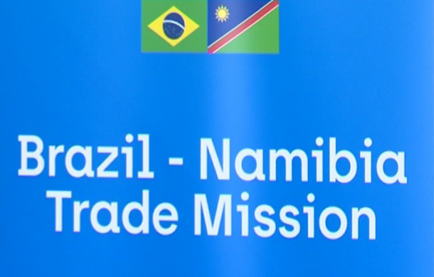 Bilateral trade between Namibia and Brazil declines