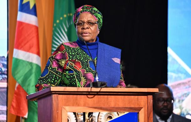 Vice President urges entrepreneurs to explore nuclear energy production