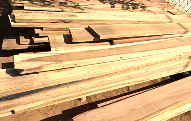 Kavango West police target illegal timber harvesting and trade