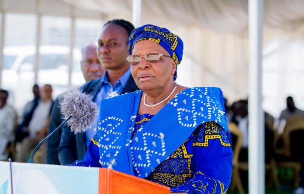 VP Netumbo Nandi-Ndaitwah advocates for public-private partnerships