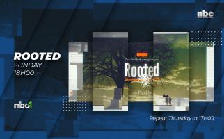 Content-Hub-Rooted
