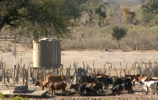 Havo Village in Kavango East experiences water shortage