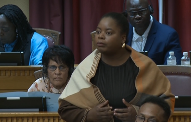 PDM MP Hengari calls on political parties to support local artists