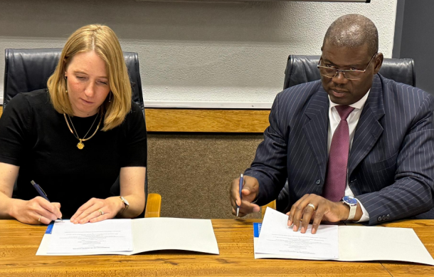 NHE and DWN Trust to service affordable plots for low-income earners