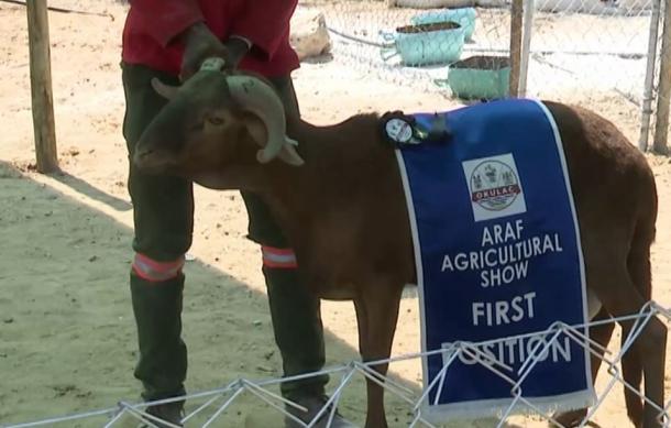 Erongo farmers to implement strategies for climate resilience