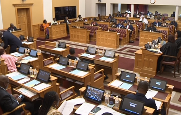 Some MPs say Public Gatherings Bill provisions are oppressive