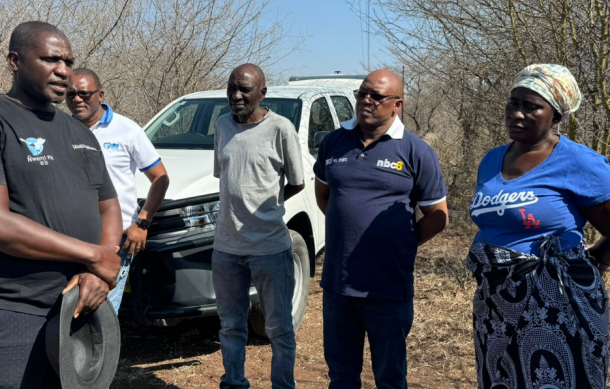 Impalila soon to have clear radio signal