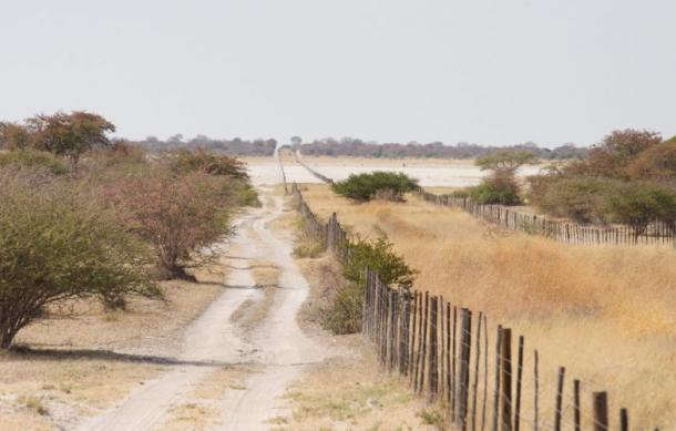 Gradual removal of cordon fence restrictions gains momentum