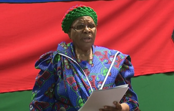 Swapo Party VP calls for unity during electoral college