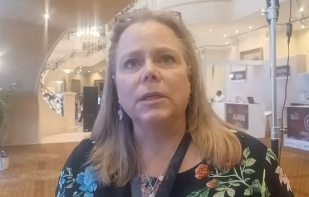 Tourism expert Lee Anne Bac says Africa is overlooking its own market