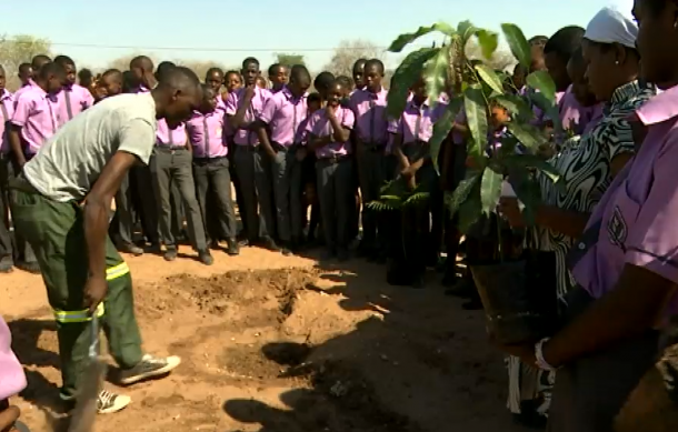 Learners of Kehemu Project School in Kavango East celebrate Arbor Day