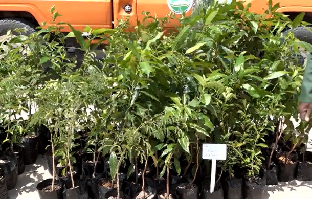 Shifeta launches 2024 Tree Planting Season in Oshakati