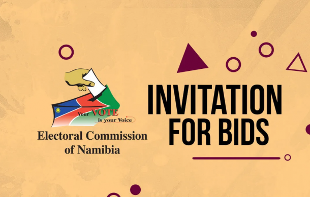 #NAMIBIAVOTES2024 | Political parties react to awarding of ballot ender