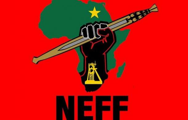NEEF confirm participation in 2024 elections following legal victory