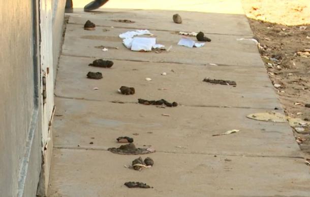 Classes suspended at Ndama Junior Primary School