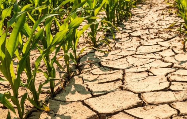 Finance Ministry avails N$698,8 million for drought relief provisions