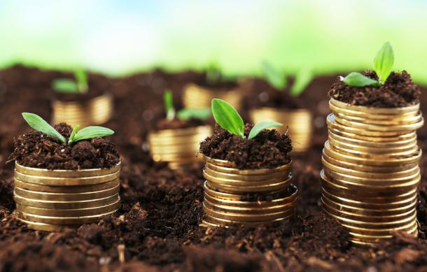 37% of Namibians avoid investment risks