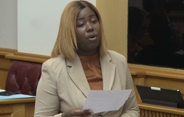 Opposition pick holes in mid-term budget
