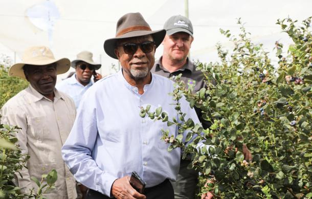 President Mbumba assesses green schemes in Kavango regions