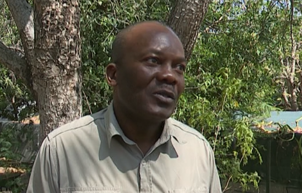 Namibian forests under threat from various human activities
