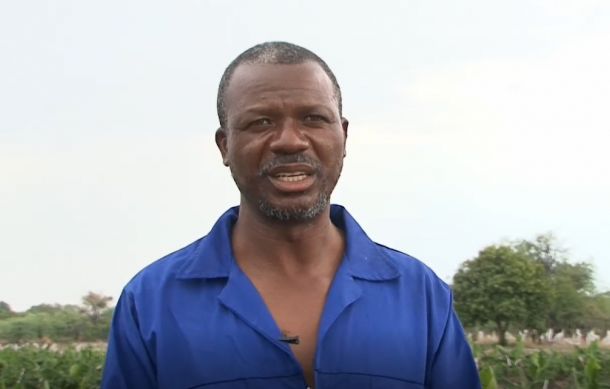 Zambezi farmers developing interest in fruit farming