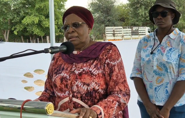 President-elect Nandi-Ndaitwah calls for unity, economic growth in business sector
