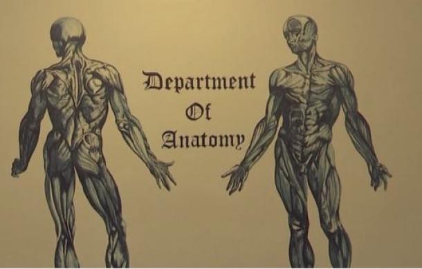UNAM struggles with cadaver shortages amid overflowing mortuaries