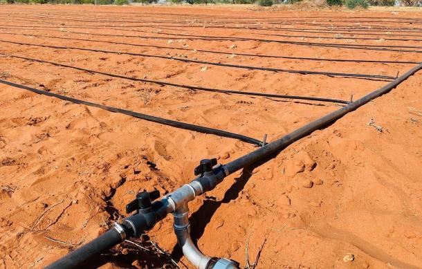 Omaheke Council backs irrigation projects for food security