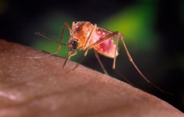 Malaria cases increase in Ohangwena Region