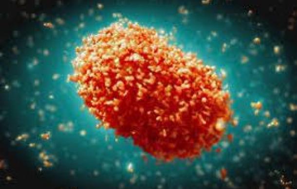 Zambia confirms three new Mpox cases
