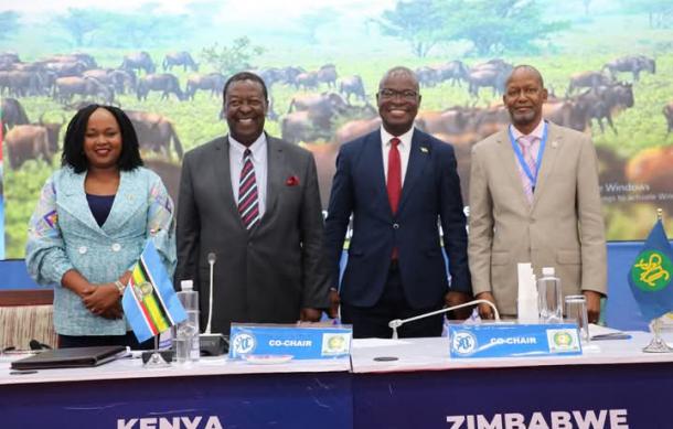 SADC, EAC hold urgent talks on DRC security crisis