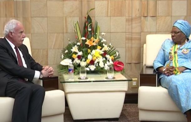 Palestine seeks diplomatic ties with Namibia