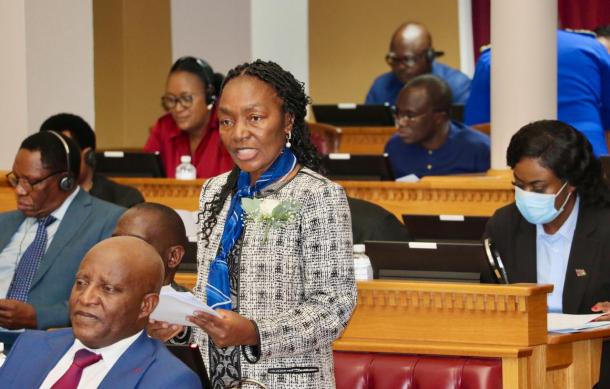 Finance Minister presents a National Budget of n$106.3 billion