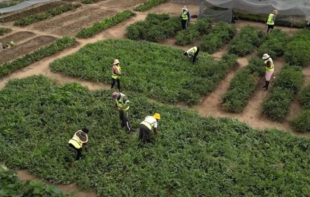 Finance Minister predicts strong GDP growth, announces key tax relief measures