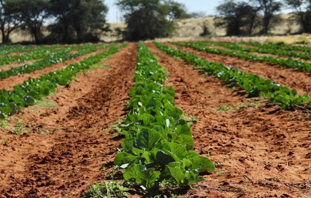 Farmer urges women to teach children the importance of growing food