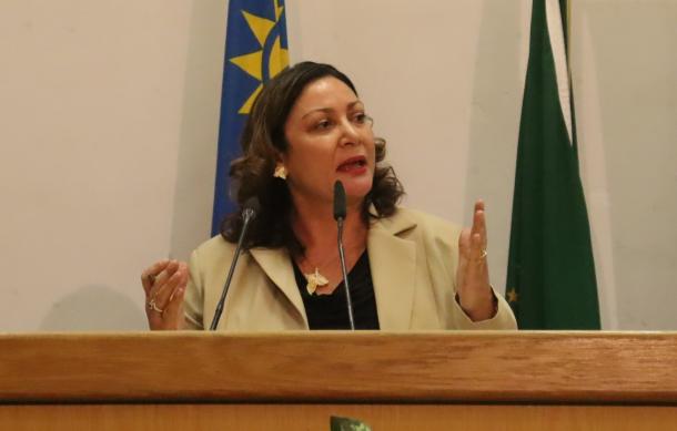 Sanet Steenkamp calls for transparency in procurement and appointments