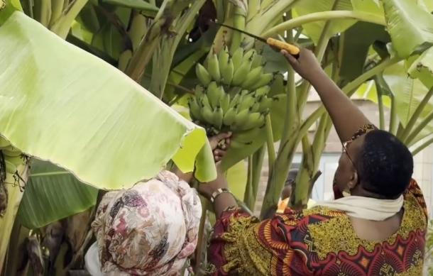 Guardians urged to teach children value of self-reliance