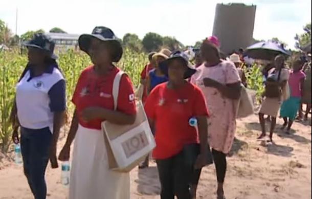 Local women can be empowered to be backbone of agrifood systems